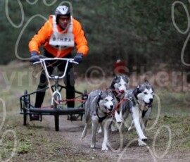 elveden362