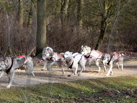 grimesthorpe_rally201