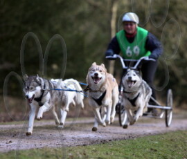 grimsthorpe_rally053