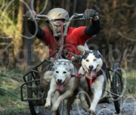 langdale013