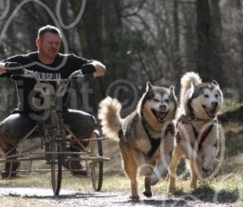 langdale098