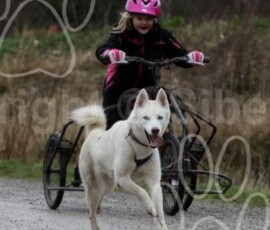 livia168