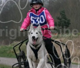livia170