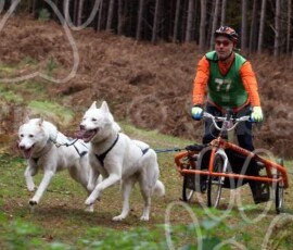 renndleshamrally100 renndleshamrally100