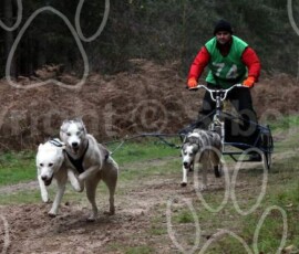 renndleshamrally162