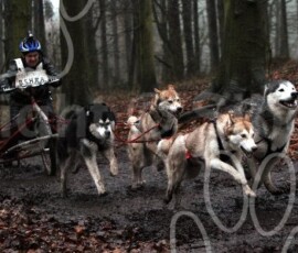 sherwood112