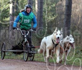 sherwoodshcgb054 sherwoodshcgb054