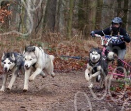 sherwoodshcgb079 sherwoodshcgb079