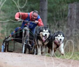 sherwoodshcgb120 sherwoodshcgb120