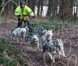 sherwoodshcgb160 sherwoodshcgb160