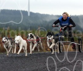 whitelee01