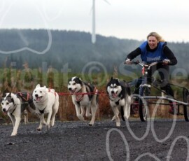 whitelee02