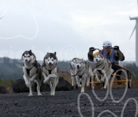 whitelee03