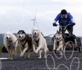 whitelee07