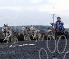 whitelee09