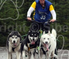 whitelee109