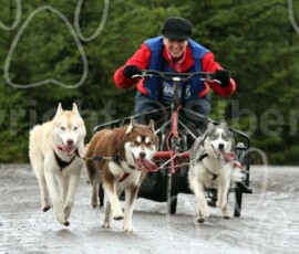 whitelee111