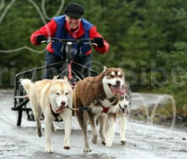 whitelee113