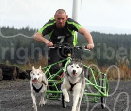whitelee114