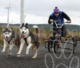 whitelee116