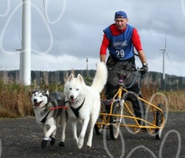 whitelee118