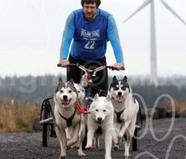 whitelee12