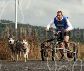 whitelee122