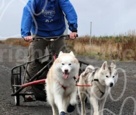 whitelee124