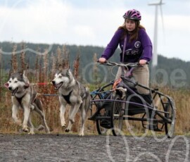 whitelee125
