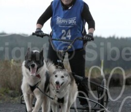 whitelee127