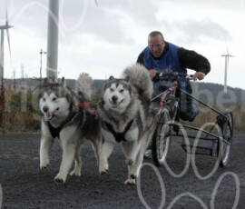 whitelee128