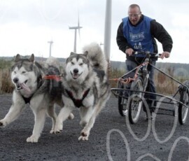 whitelee129