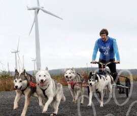 whitelee13