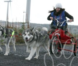 whitelee131
