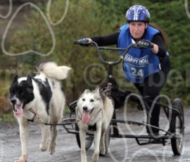 whitelee133