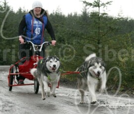 whitelee136
