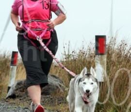 whitelee137