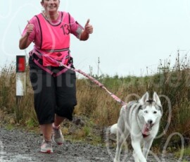 whitelee138