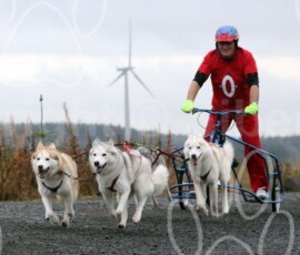 whitelee14