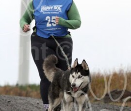 whitelee140