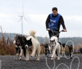 whitelee16