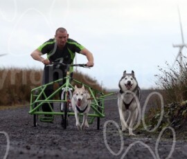 whitelee18