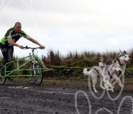 whitelee19