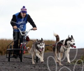 whitelee20