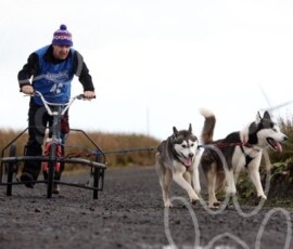 whitelee21