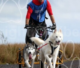 whitelee22