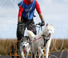 whitelee23