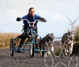 whitelee24