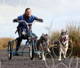 whitelee25