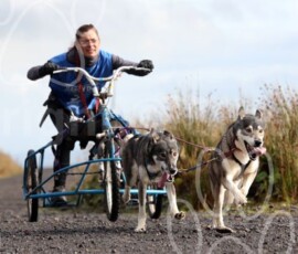 whitelee26